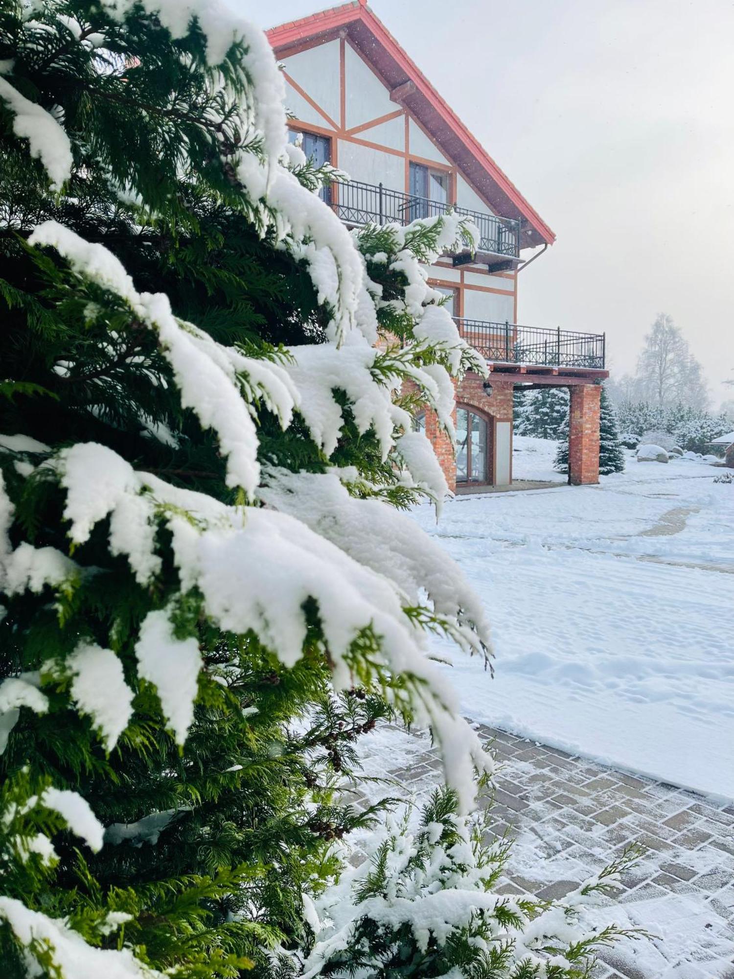 Hotel Jurvinge Zadvainai Esterno foto